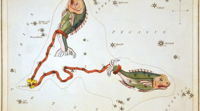 Echeneis ou de la Remora, le rebis philosophal